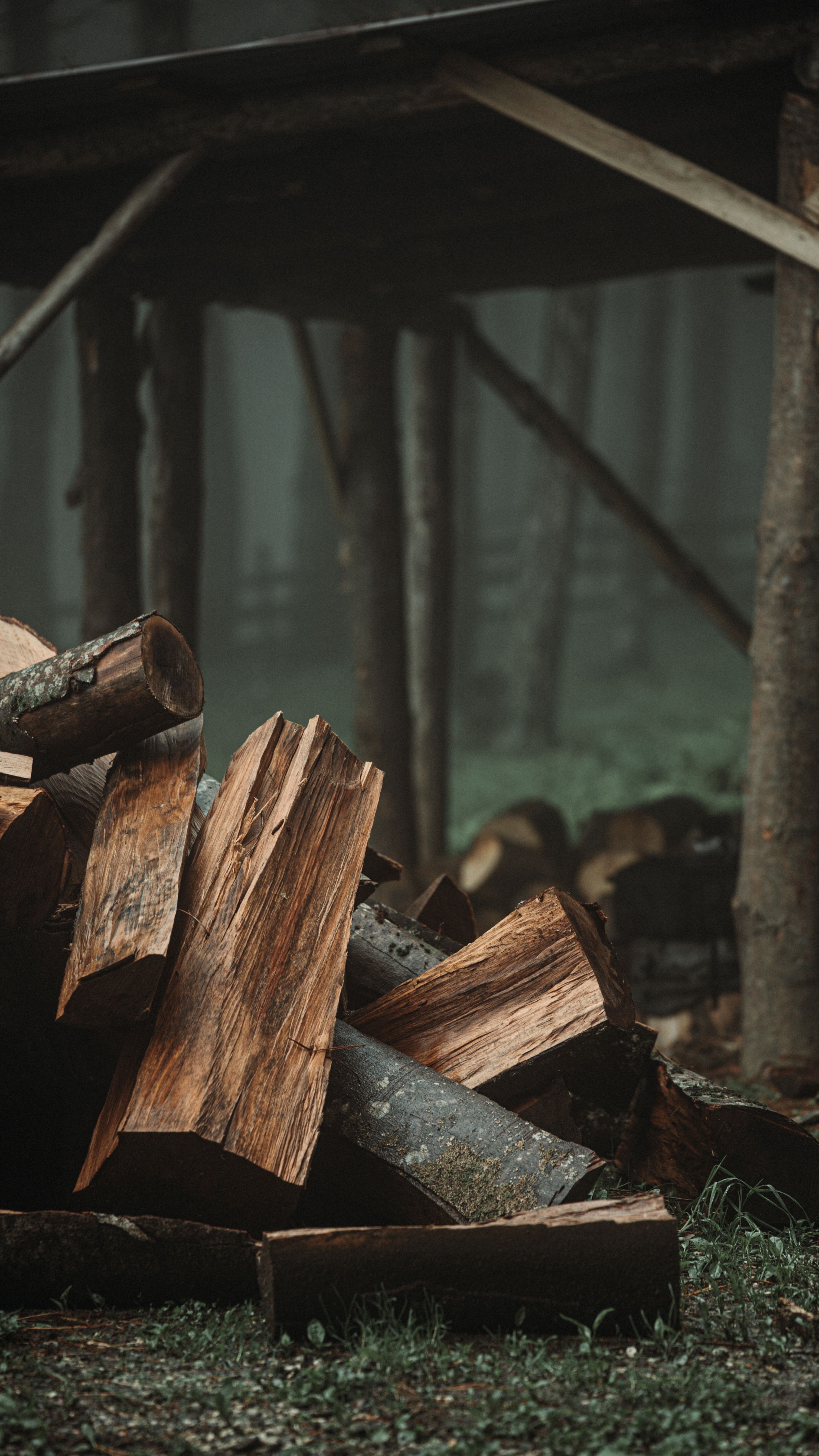 Pile of chopped firewood with rustic forest background in foggy weather.