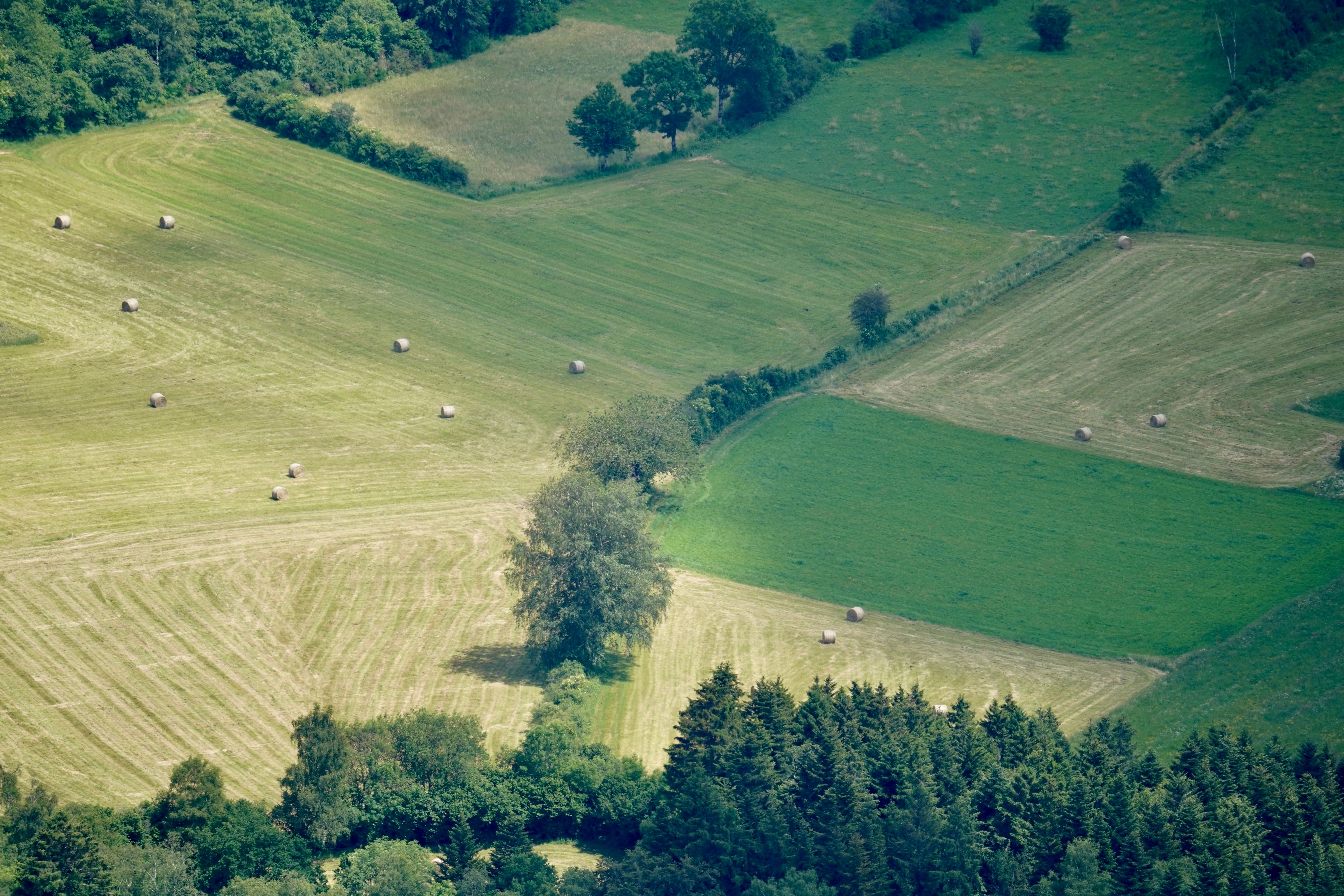 Aerial View of Lush Green Farmland in Summer · Free Stock Photo