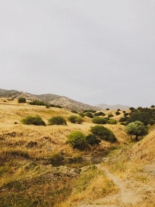 Free Serene view of arid hills with scattered shrubs under an overcast sky, offering a natural retreat. Stock Photo