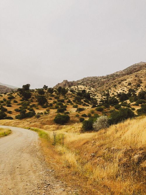 Free Explore the tranquility of this picturesque mountain landscape featuring a winding dirt path. Stock Photo