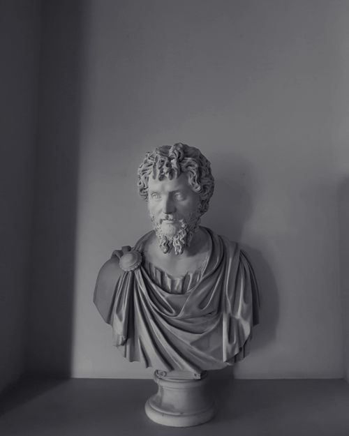 Free Monochrome image of a classical marble bust with dramatic shadows in a minimalist setting. Stock Photo