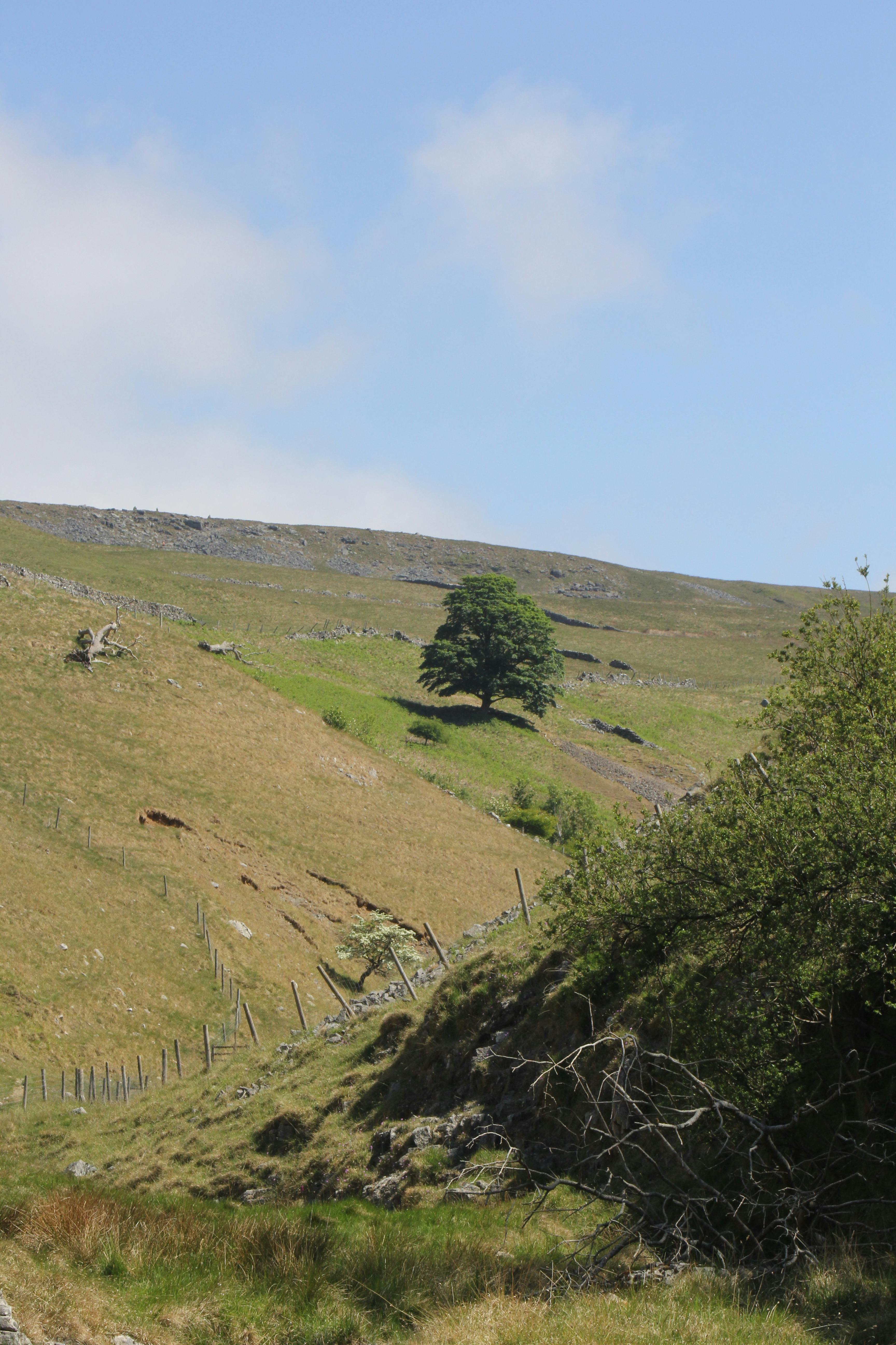 Discover the tranquil beauty of Kettlewell's rolling hills and lush greenery under a bright sky.