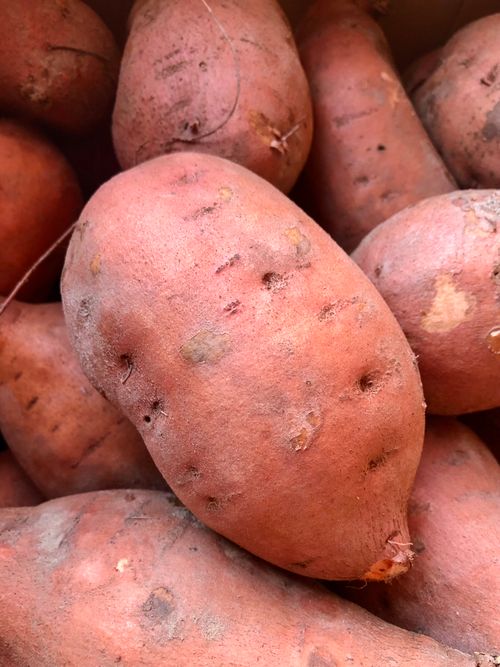 Free A detailed shot of fresh organic sweet potatoes, showcasing their natural texture and color. Stock Photo