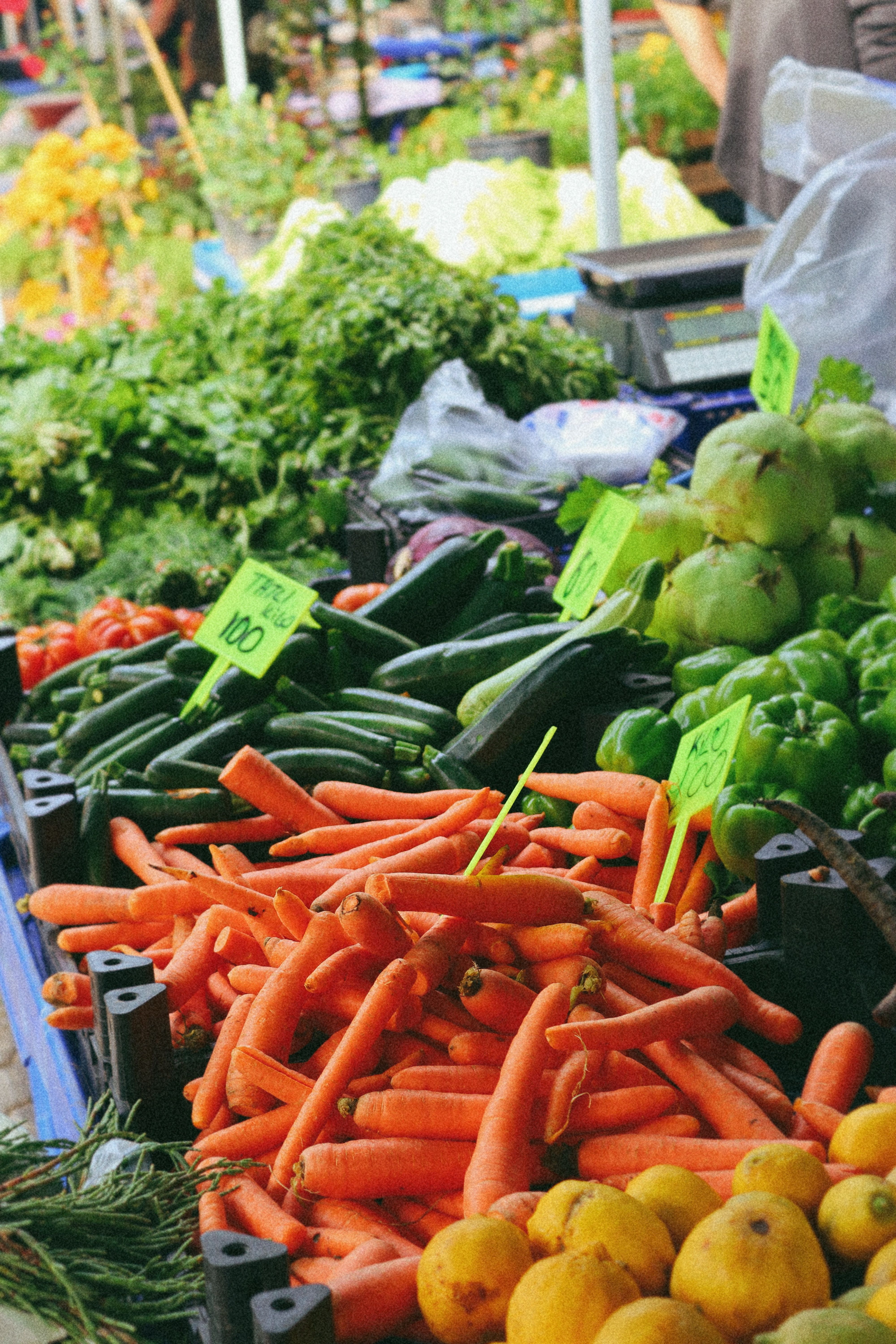 A vibrant display of fresh vegetables including carrots, cucumbers, and squash at an outdoor farmers market.