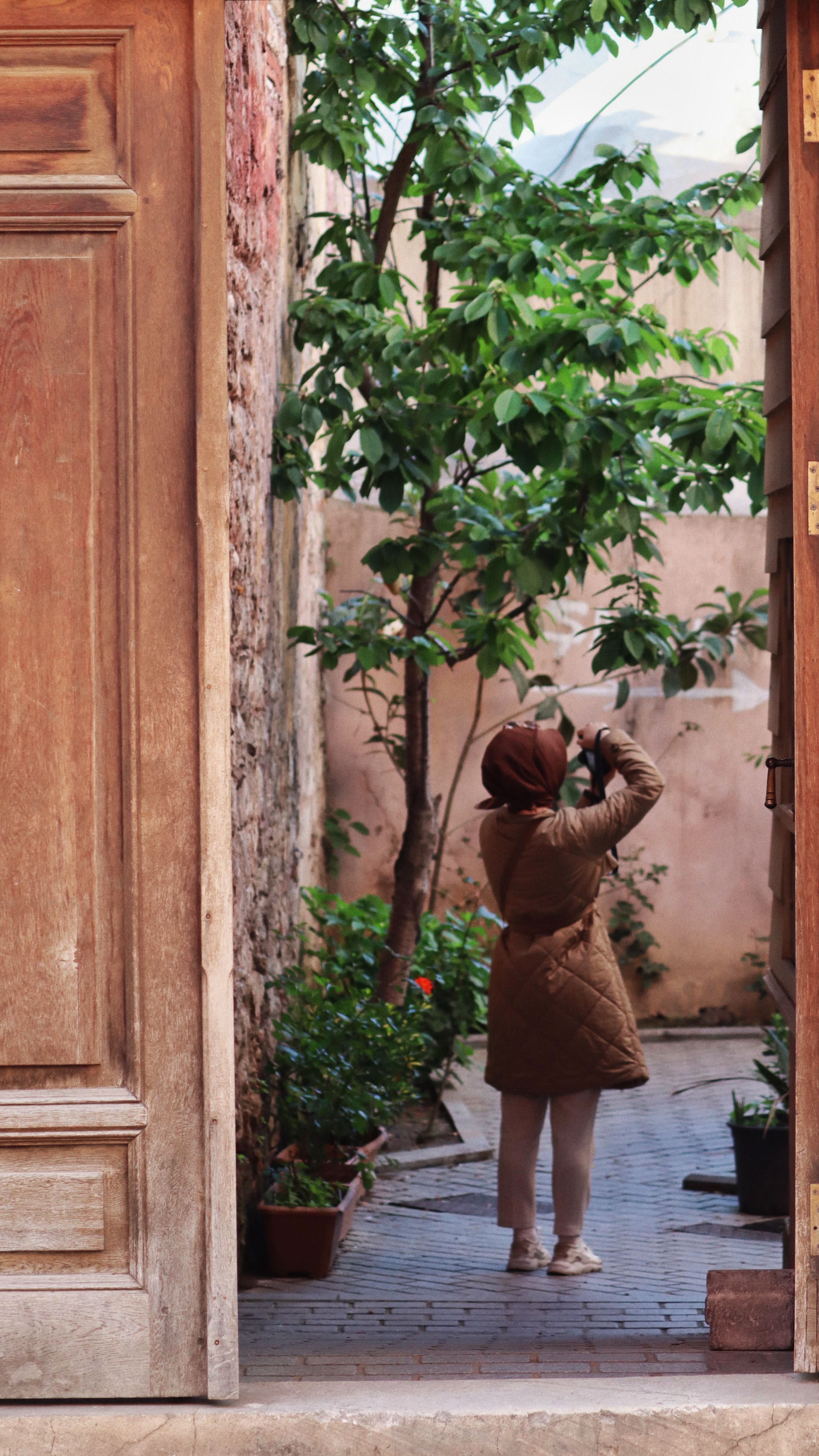 Woman taking photo of a tree in a cozy urban courtyard, capturing nature in city life.