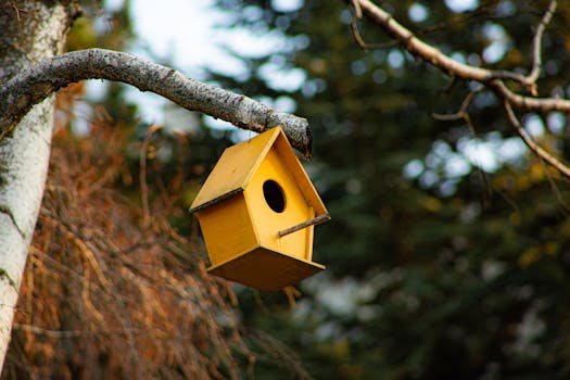A charming yellow birdhouse hanging from a tree branch in a serene outdoor setting during fall.