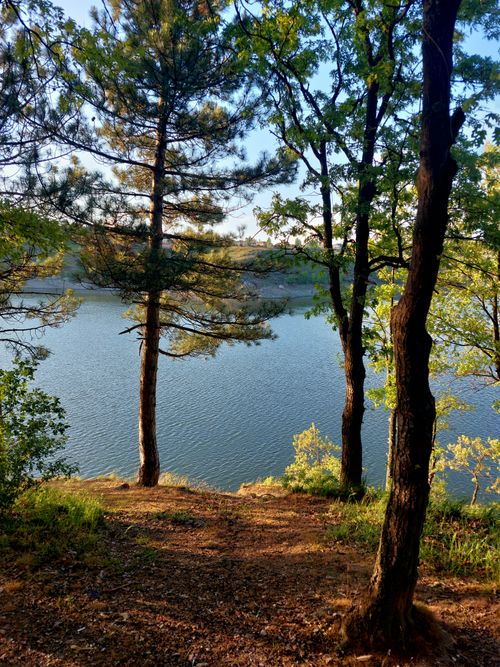 Free Scenic view of a calm lake surrounded by lush forest in Kütahya, Türkiye. Stock Photo