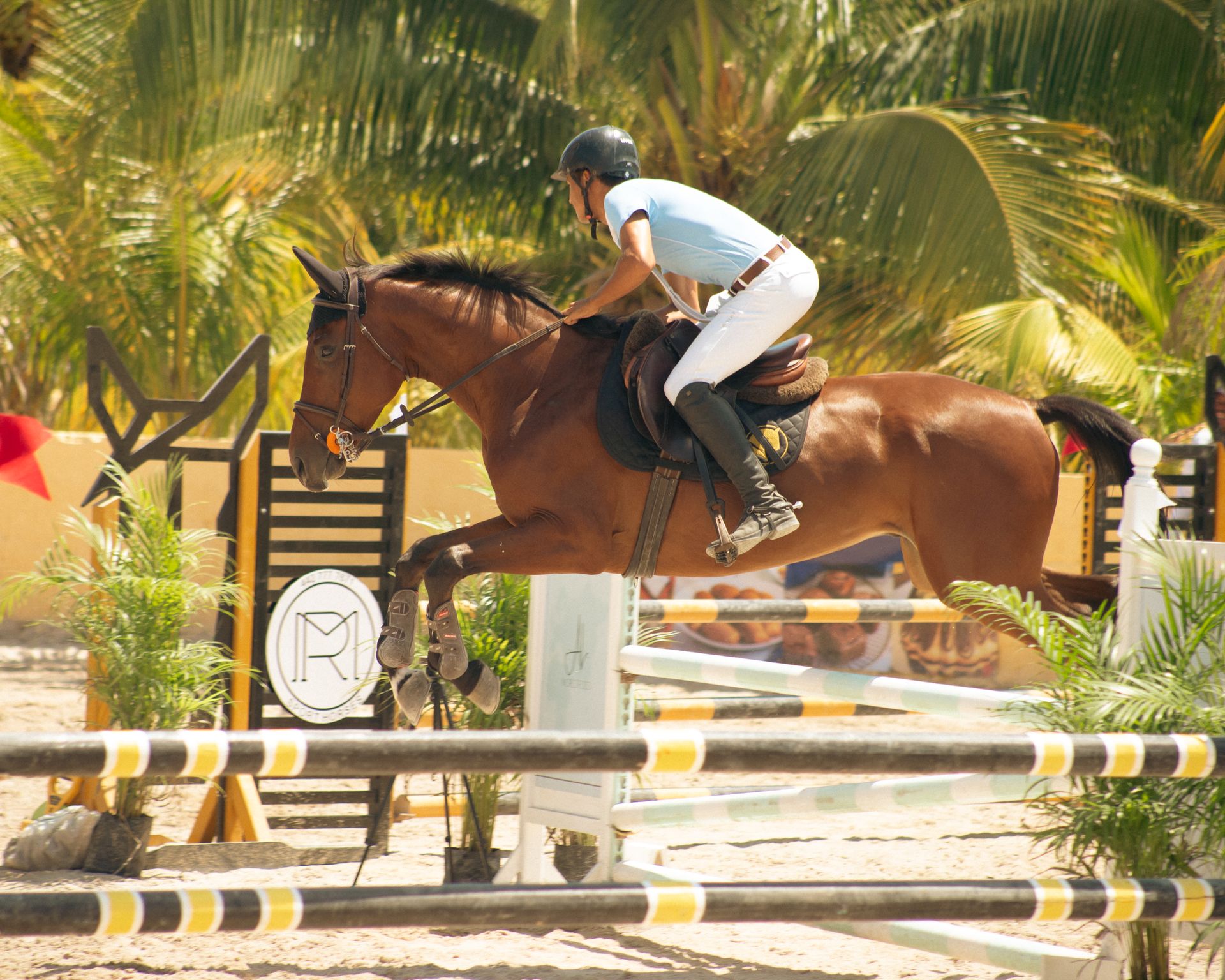 Horse and rider executing a jump during an equestrian competition in a tropical setting.