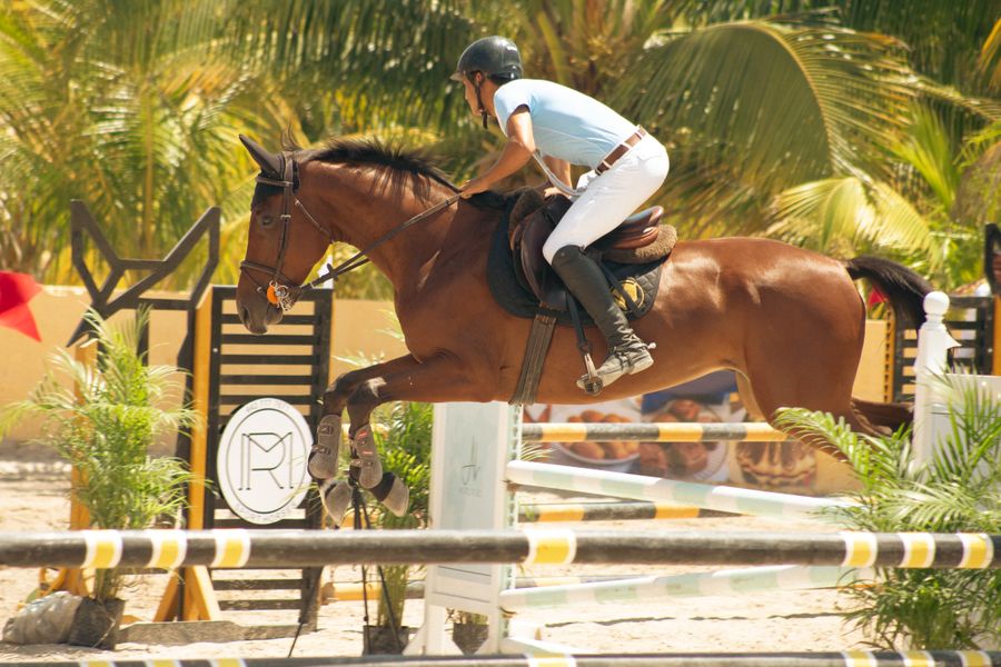 How to Prepare Your Child for Their First Riding Lesson