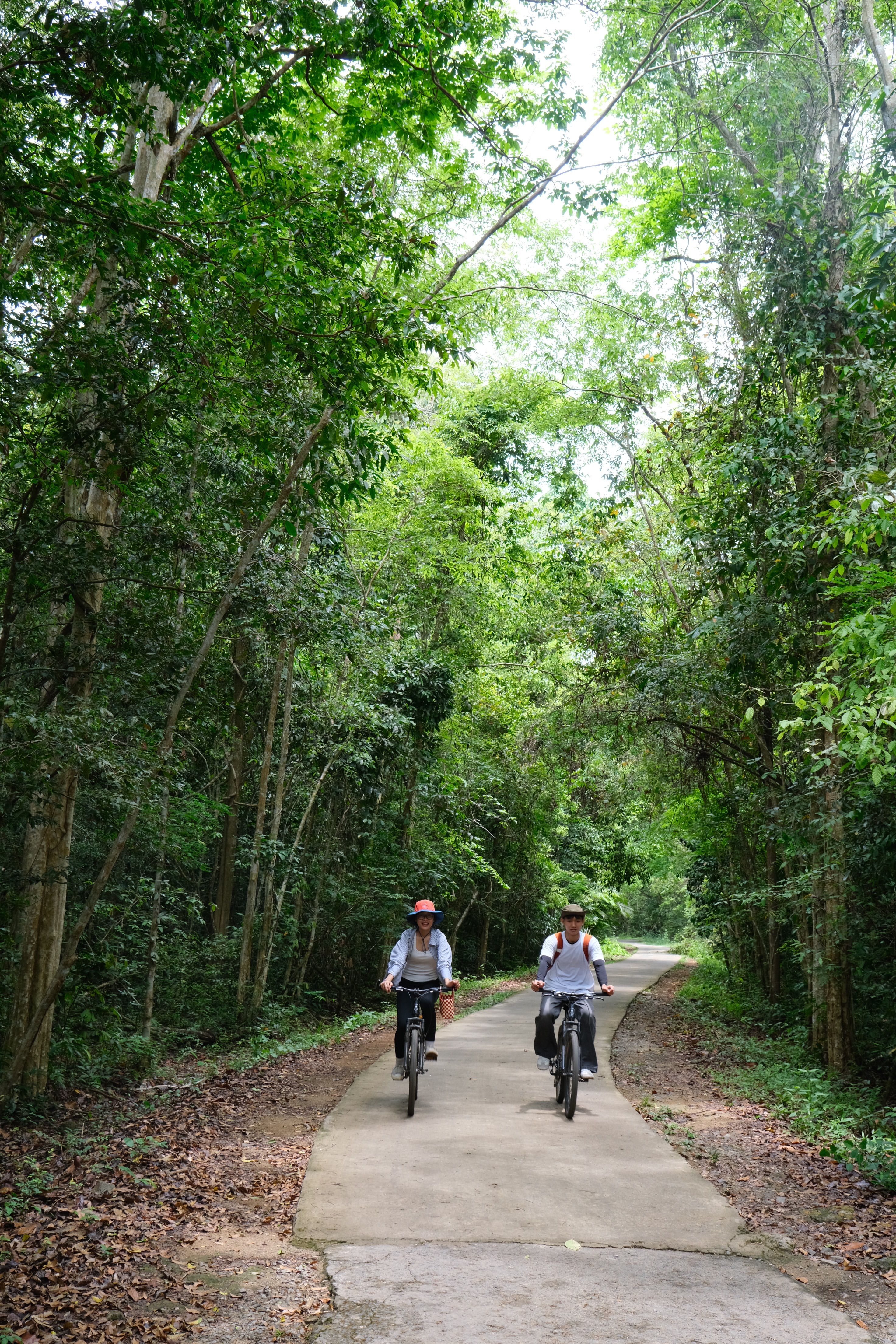Casual Cycling through Lush Green Forest Path · Free Stock Photo