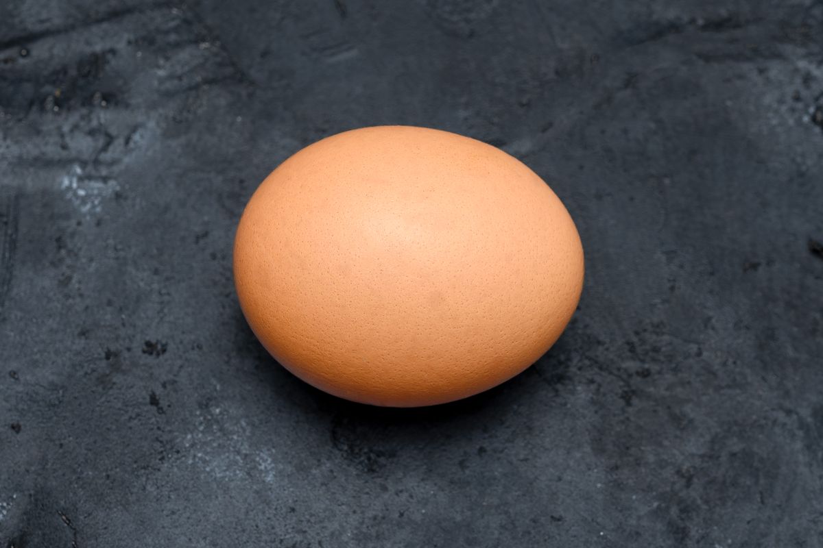valeur nutritionnelle oeuf - Nutriments et vitamines dans l’œuf
