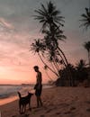 日落时分，一个人带着一只狗站在斯里兰卡沙滩的棕榈树之间