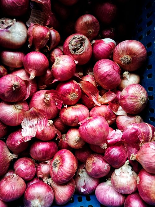 Free A vibrant collection of fresh red onions piled in a blue industrial basket. Perfect for culinary uses. Stock Photo