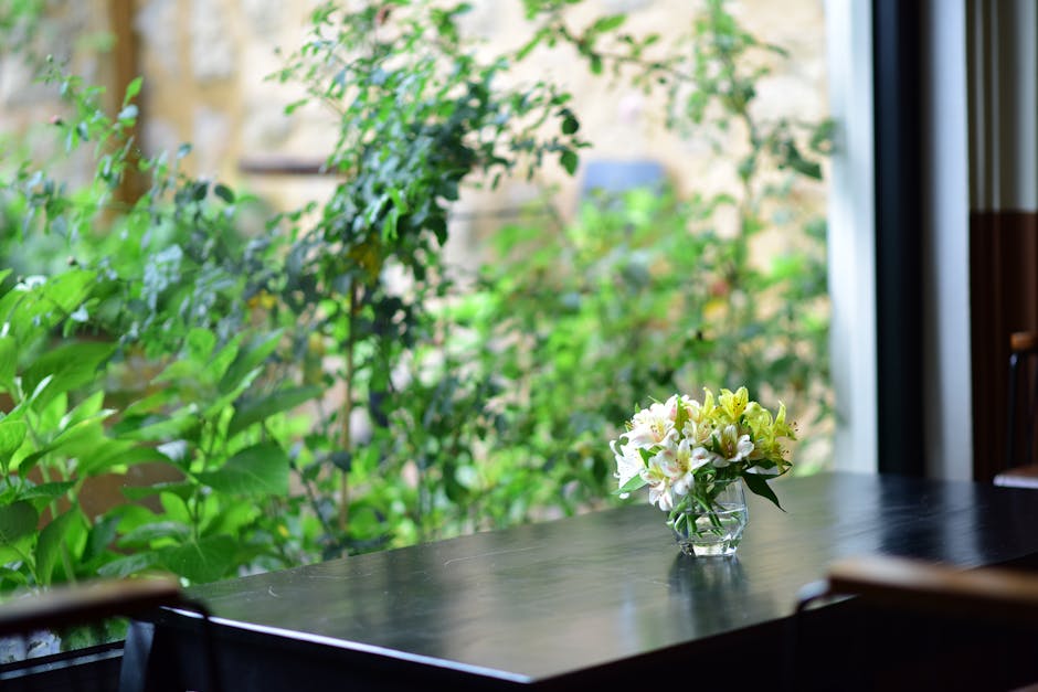 정리 관련 이미지