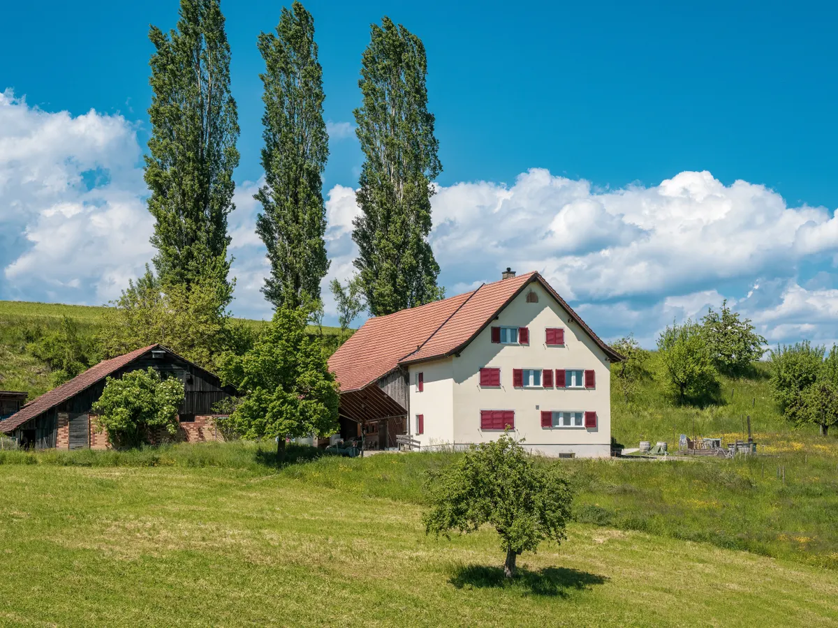 Rural home surrounded by greenery — illustrating USDA loans for rural and suburban buyers