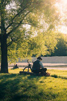 Man reading under a tree with a bicycle, enjoying a sunny day outdoors.