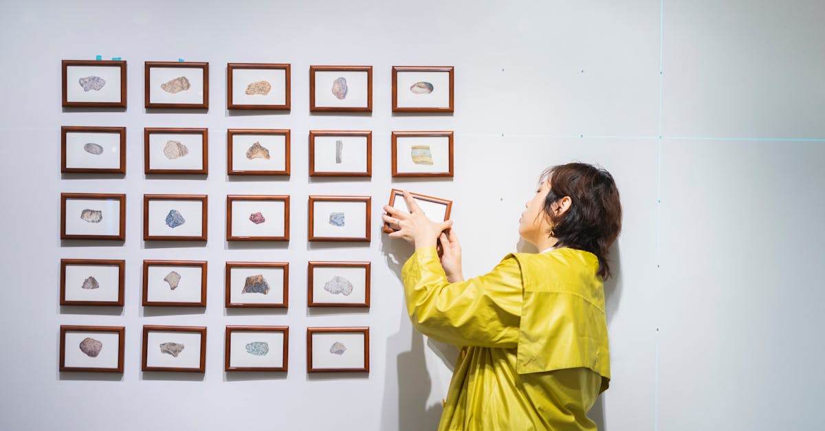 響應2025國際博物館日!科博館及三園區5/18免費入館大放送