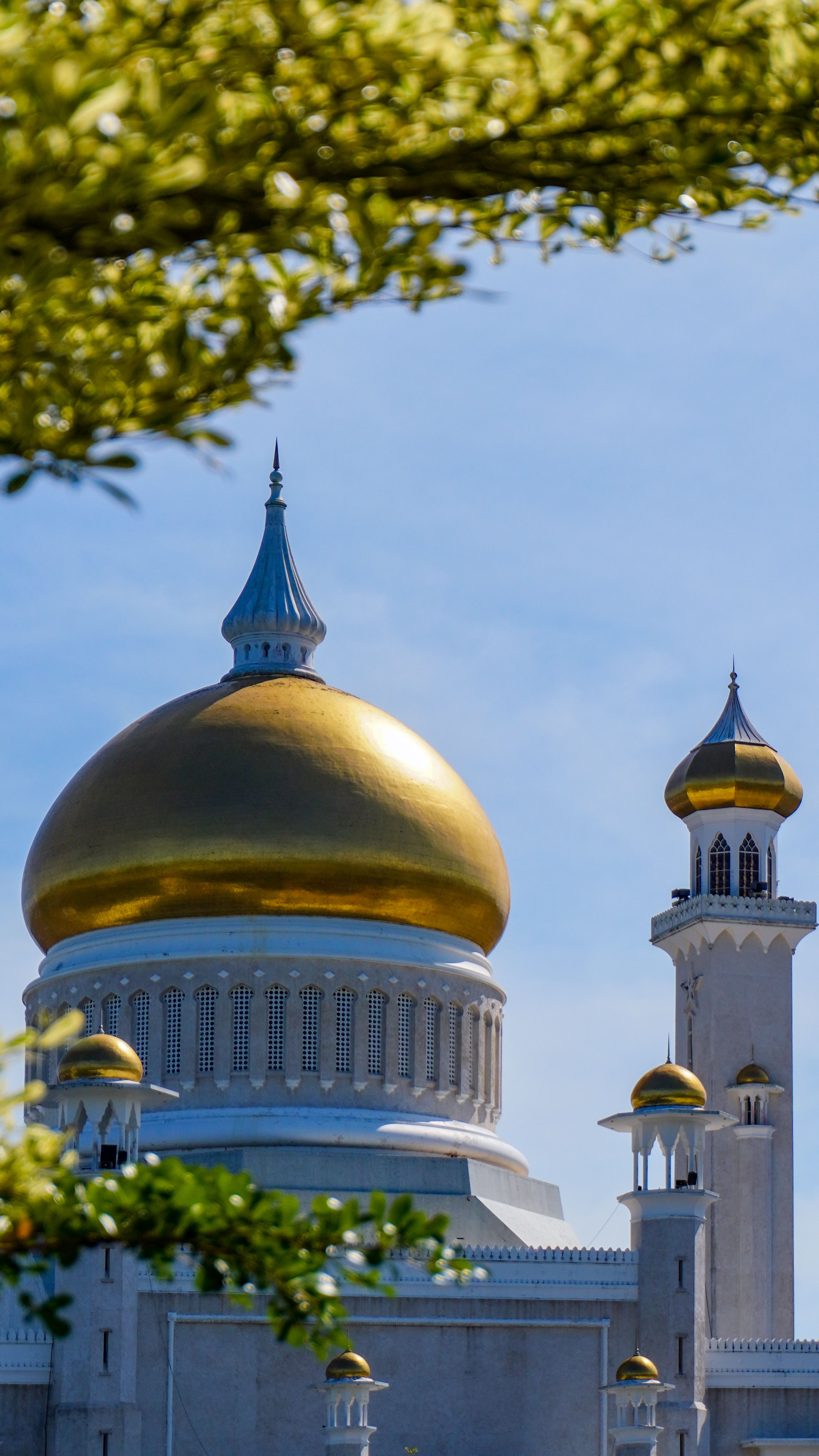 Brunei: energy CSR promoting efficiency and environmental education in schools