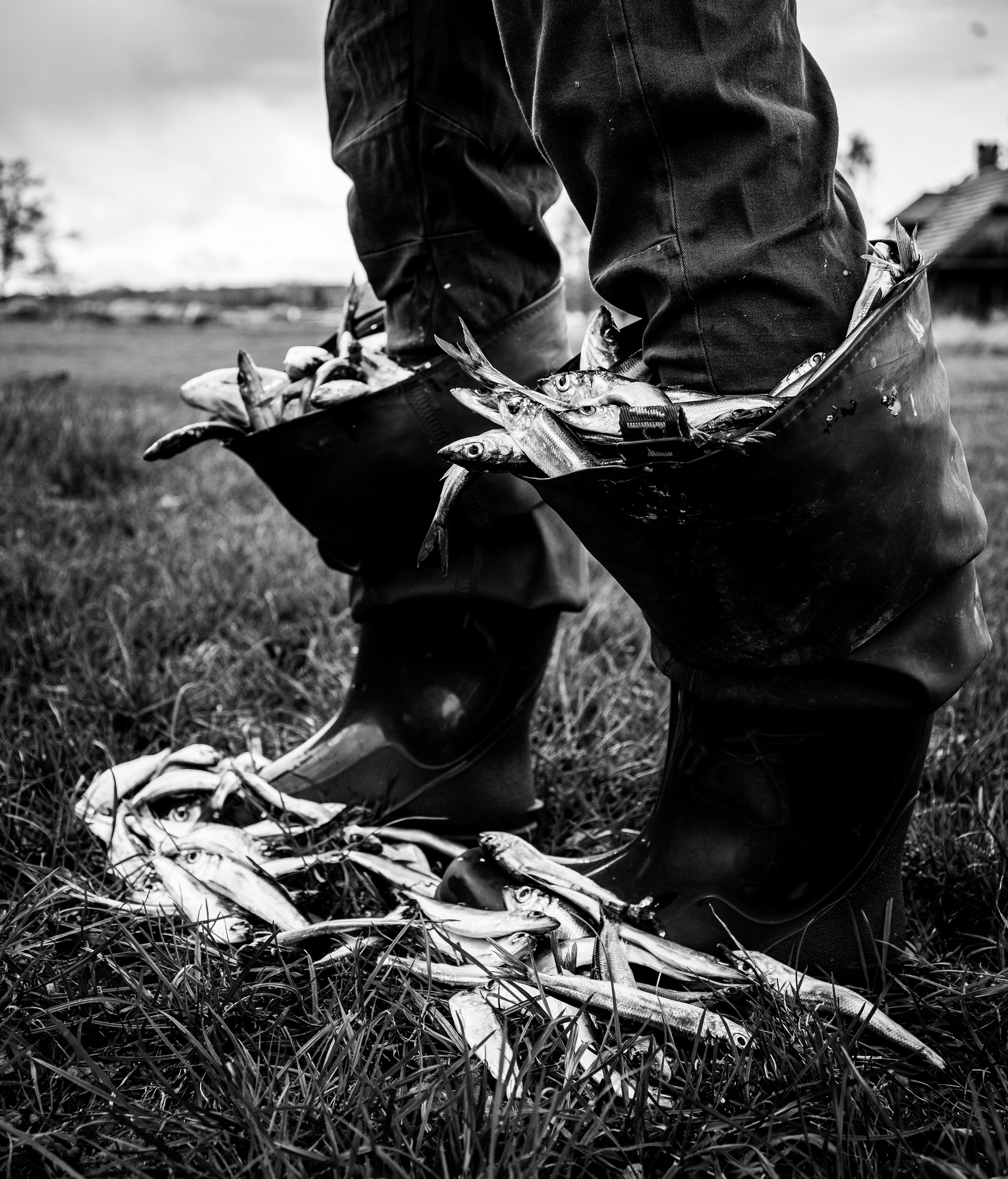 Reich Orgon Cloudbuster Fischer