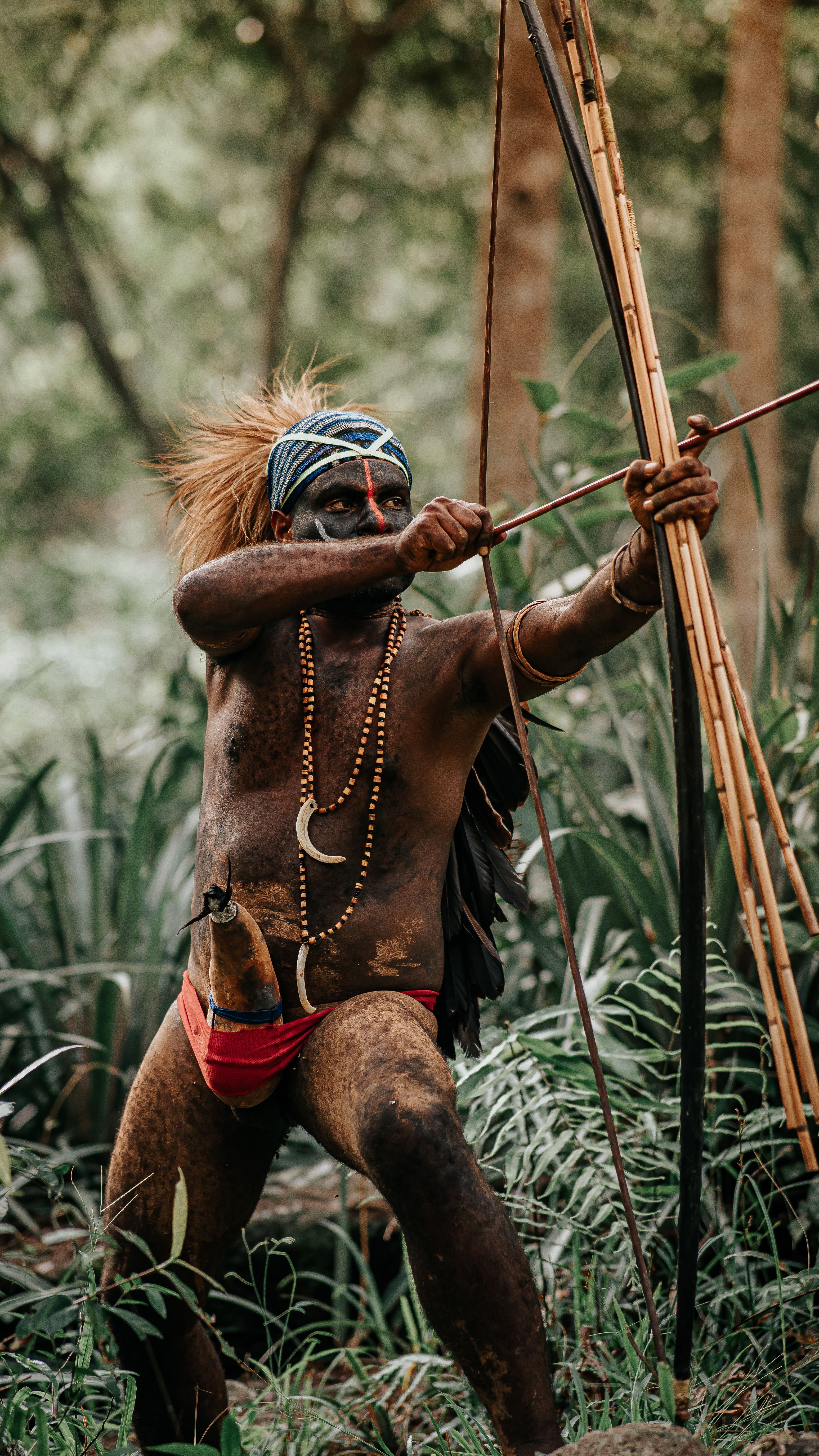 Traditional Hunter in Dense Forest Landscape · Free Stock Photo