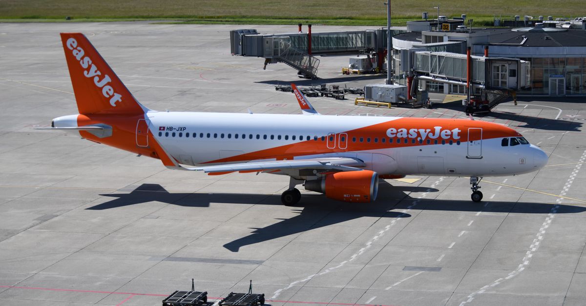 Flying with Pets: What You Need to Know