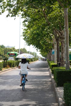 杨德龙:A股长期上行走势未发生改变 杨德龙:A股长期上行走势未发生改变