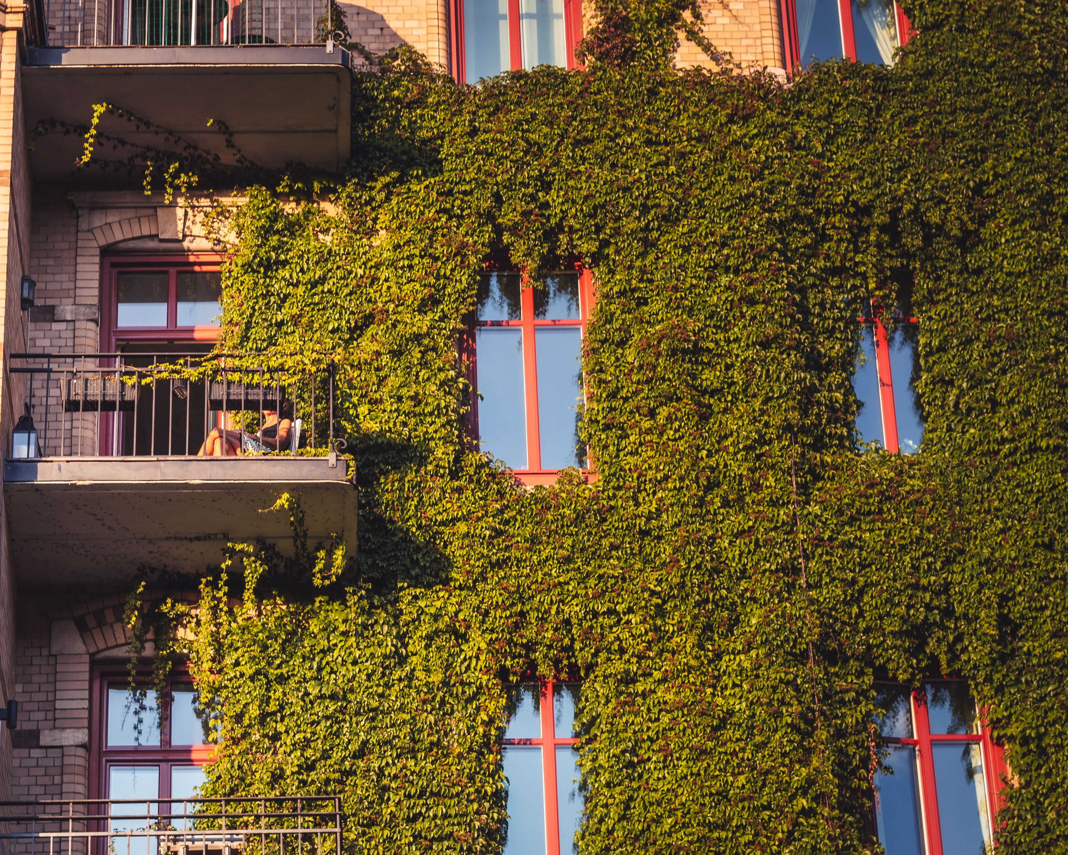 Topfset für vertikale Gärten im Test