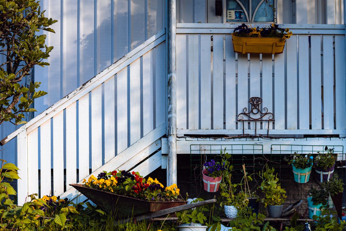 2 typische Garten-Fehler die 80 % der Gärtner machen — Lösungs-Schritt