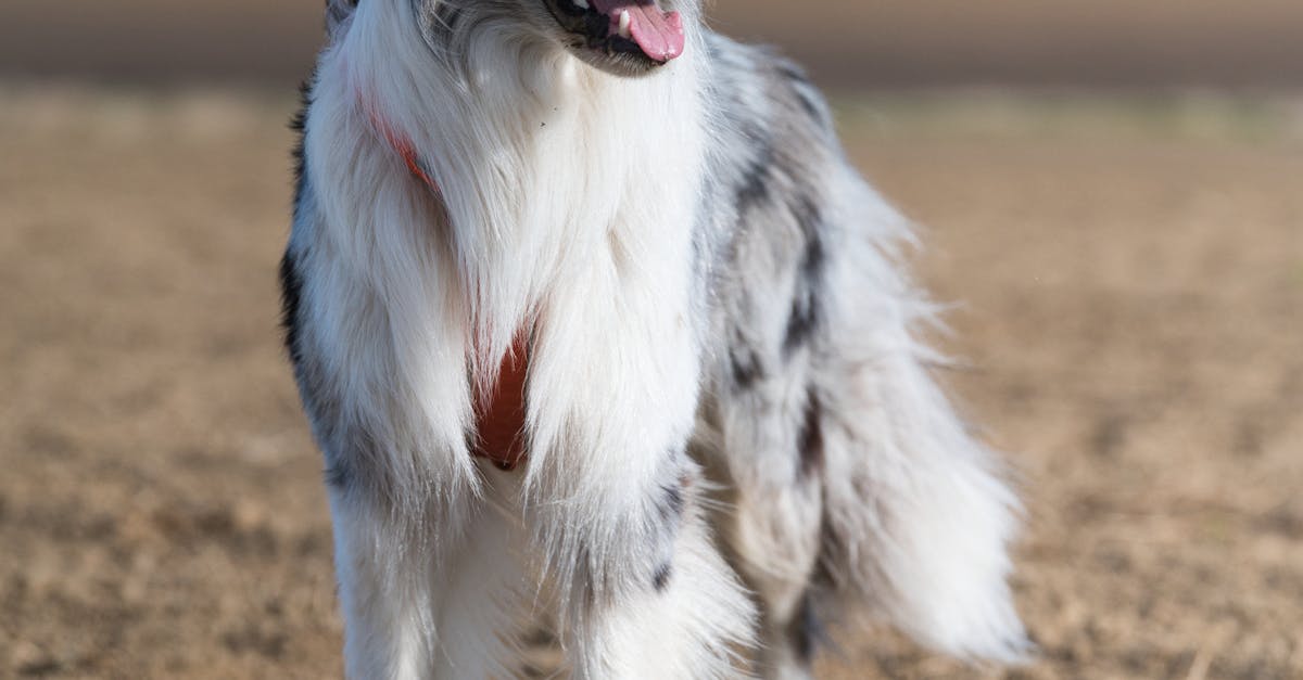 南亞局勢升溫!印度禁止孟加拉從東北關隘輸入產品引關注