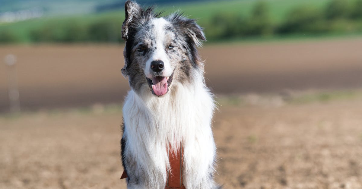 南亞局勢升溫!印度禁止孟加拉從東北關隘輸入產品引關注