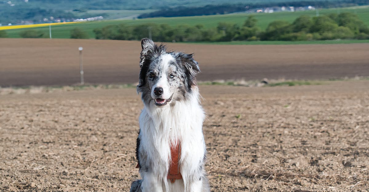 南亞局勢升溫!印度禁止孟加拉從東北關隘輸入產品引關注