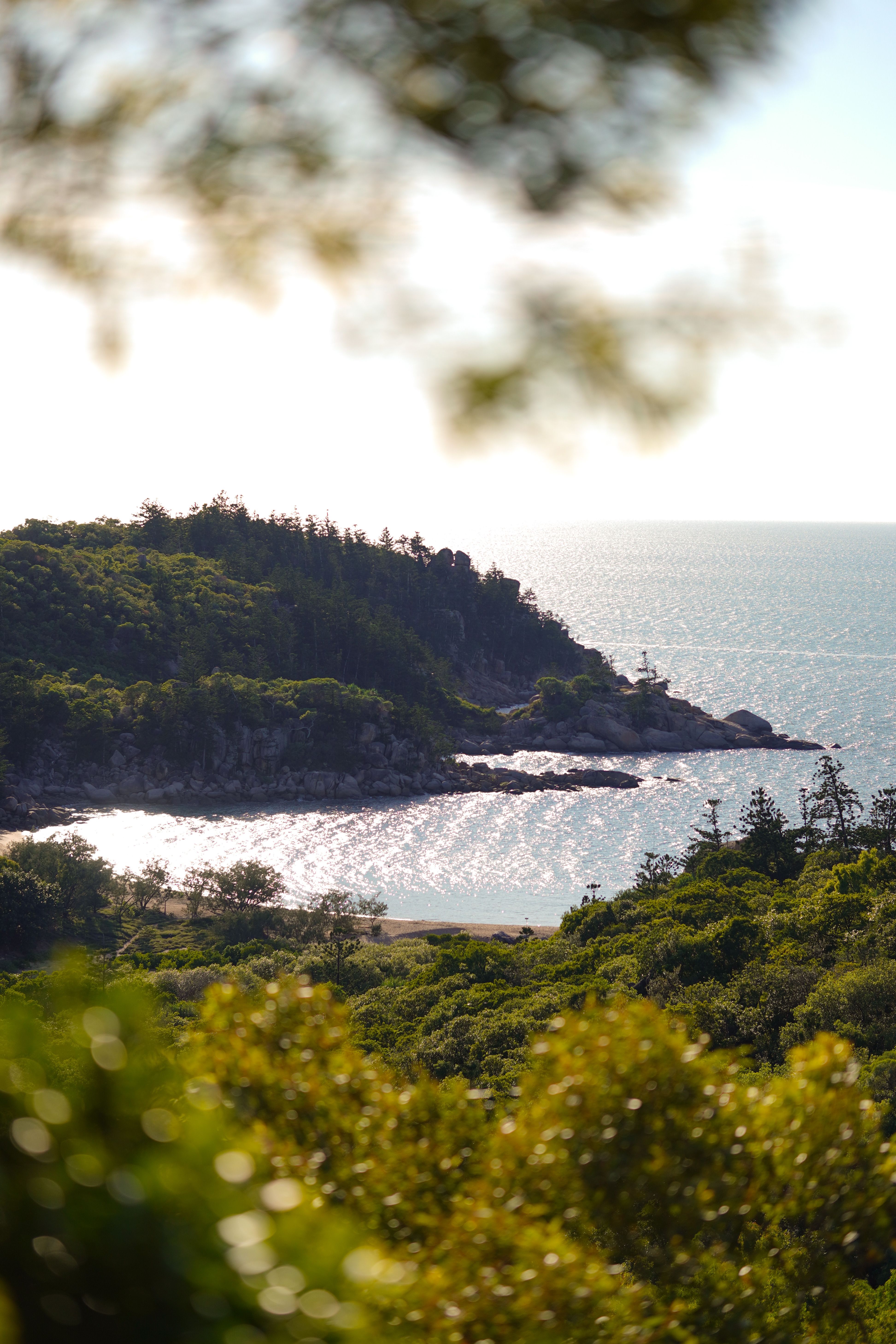 Scenic coastal landscape with lush greenery · Free Stock Photo