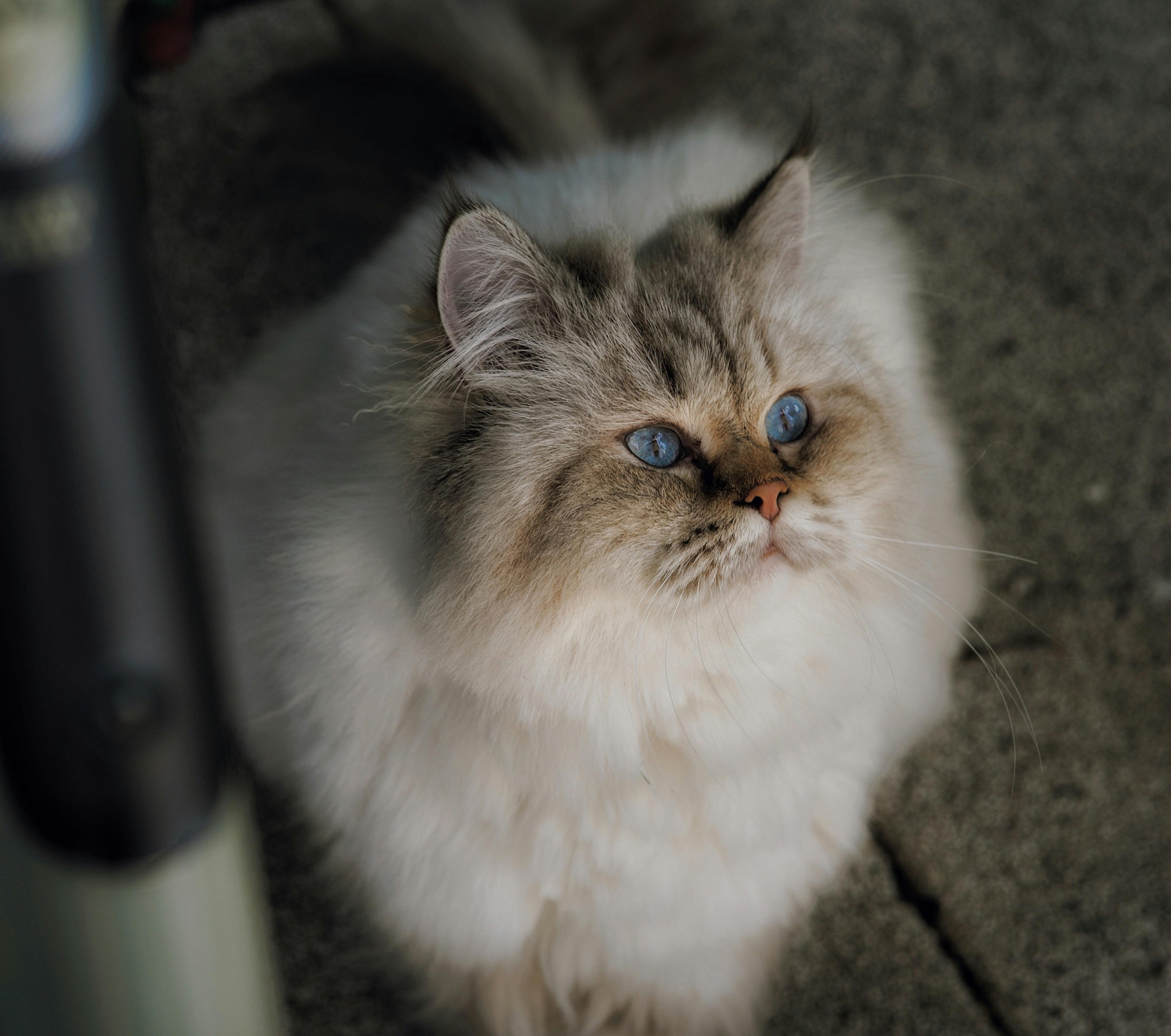 Comment créer une alerte sur Le Bon Coin : guide simple et rapide