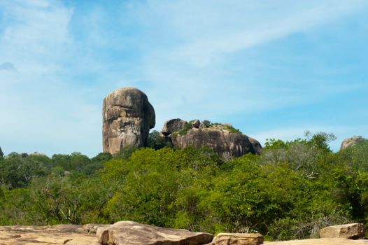 Yala leopard safari (morning) — Sri Lanka