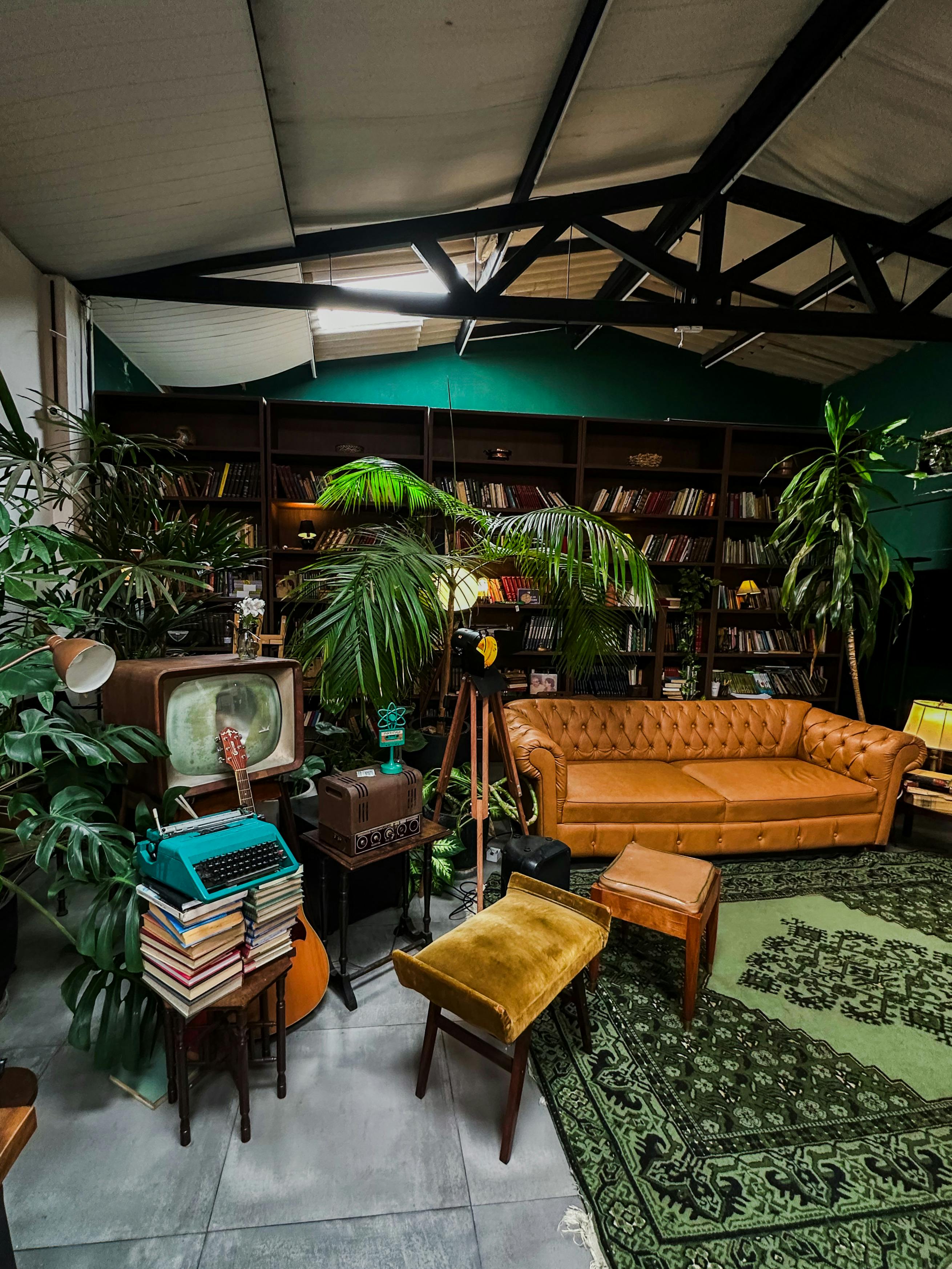 Free Cozy vintage library lounge with green plants and retro furniture. Stock Photo