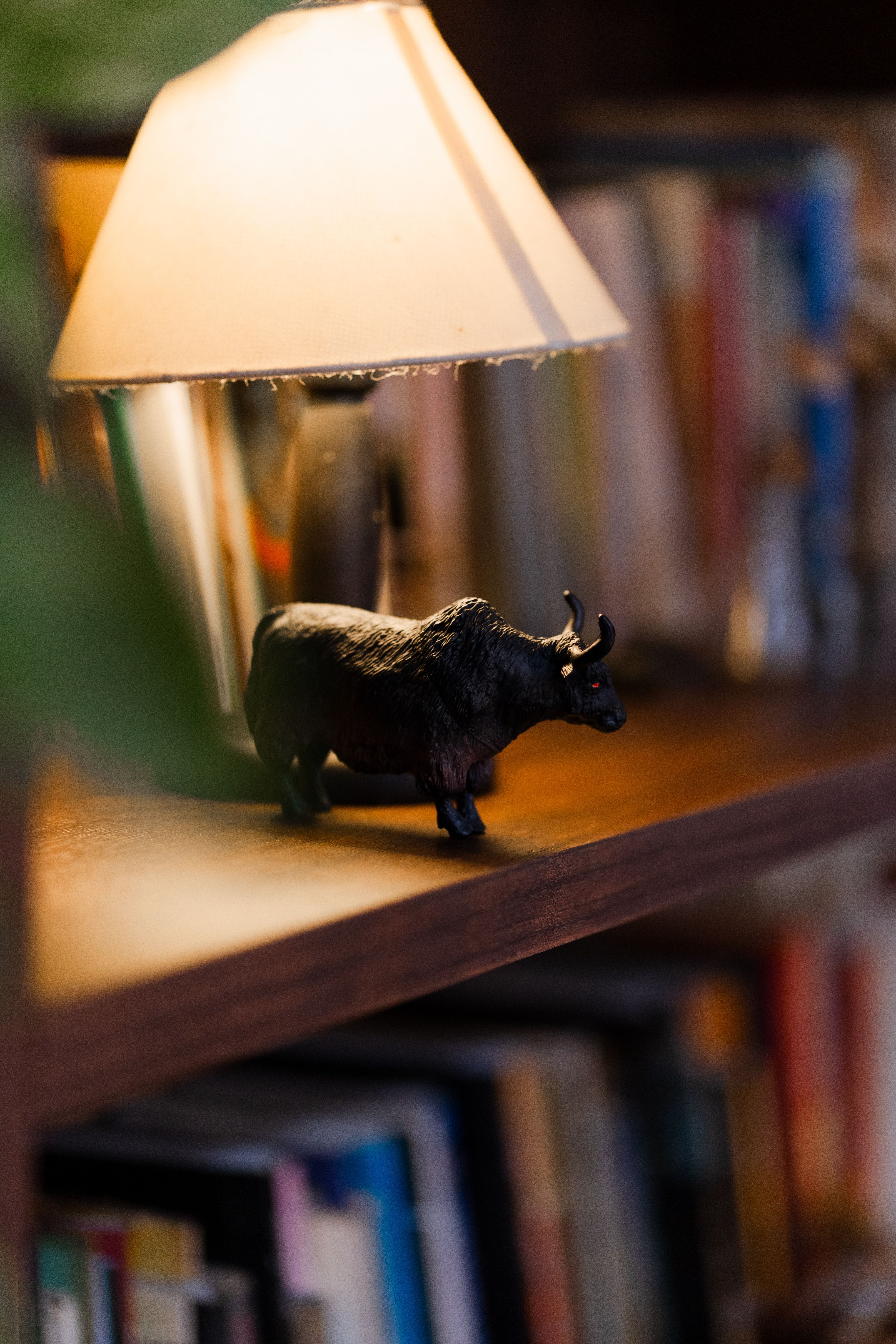 Cozy Shelf with Toy Bull and Lamp in Library · Free Stock Photo