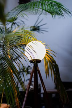 A glowing floor lamp illuminates through palm leaves in a stylish indoor setting. - Fotografer Sidoarjo