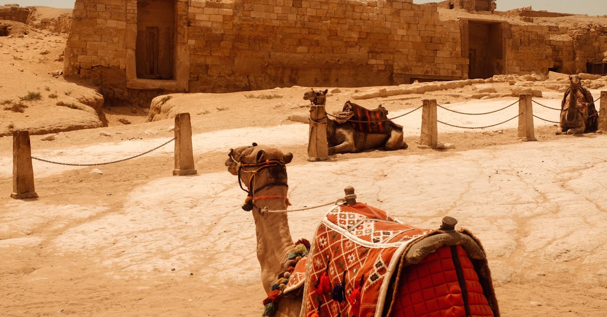 台北國際觀光博覽會5 23盛大開展 泰國觀光局推五大必體驗吸引遊客