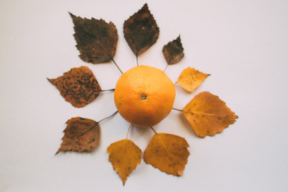 Апельсиновый фрукт в окружении листьев