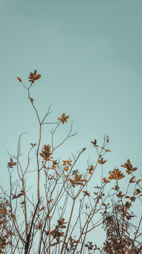Free stock photo of beautiful sky Stock Photo
