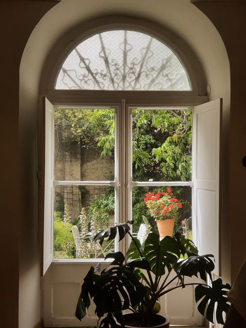 A picturesque view of a lush garden through an arched window featuring potted plants.