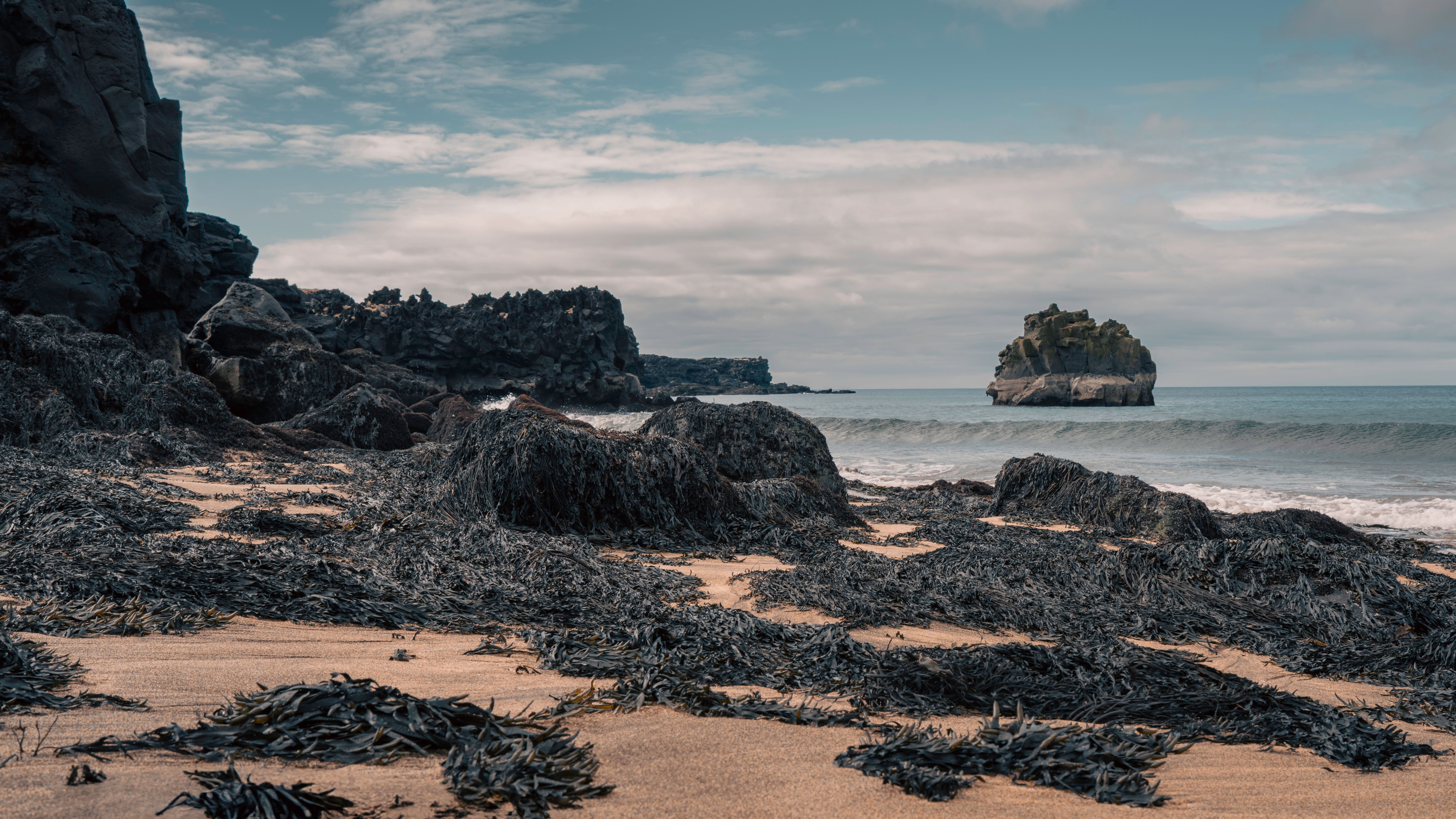 Yankito Lava Beach view 3