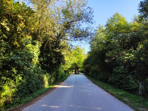 Free A peaceful road surrounded by lush greenery in Ilidža, Bosnia, perfect for a nature walk. Stock Photo