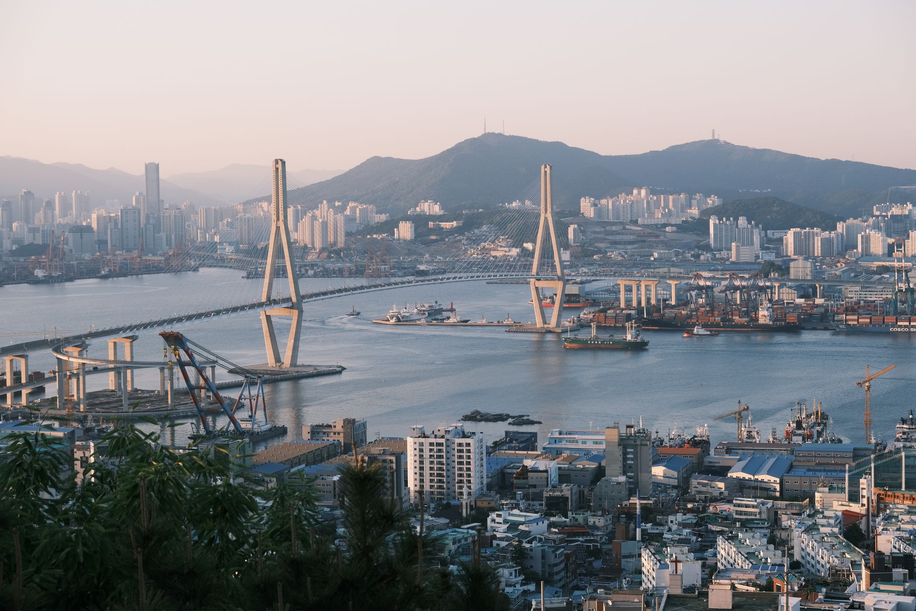 Scenic view of Busan harbor and cityscape with a prominent cable-stayed bridge at sunrise.