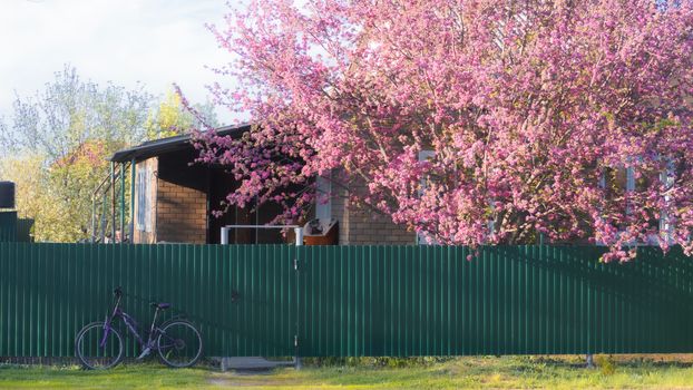 colorbond fence