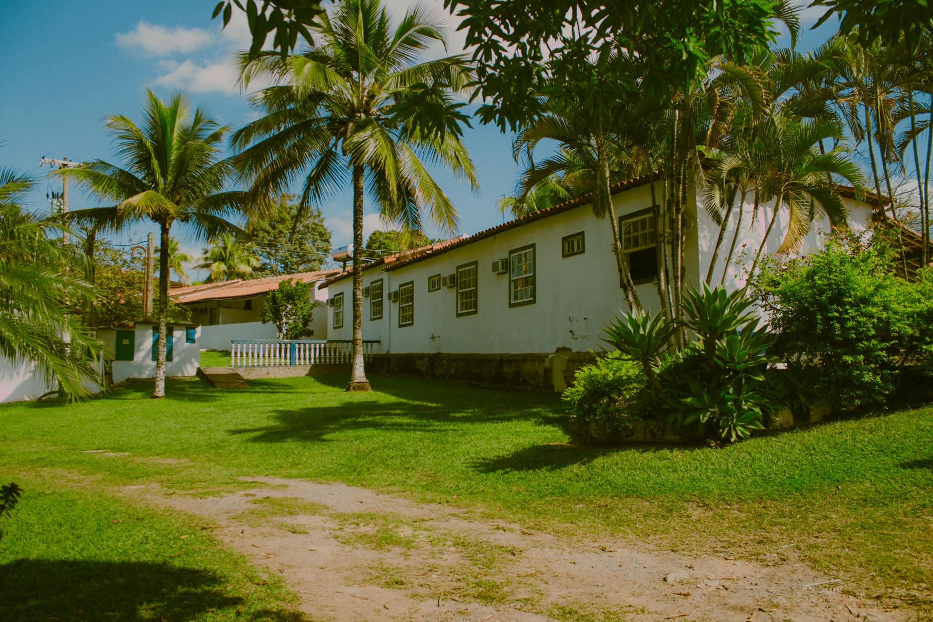 https://www.pexels.com/photo/tropical-house-surrounded-by-lush-palm-trees-32155890/