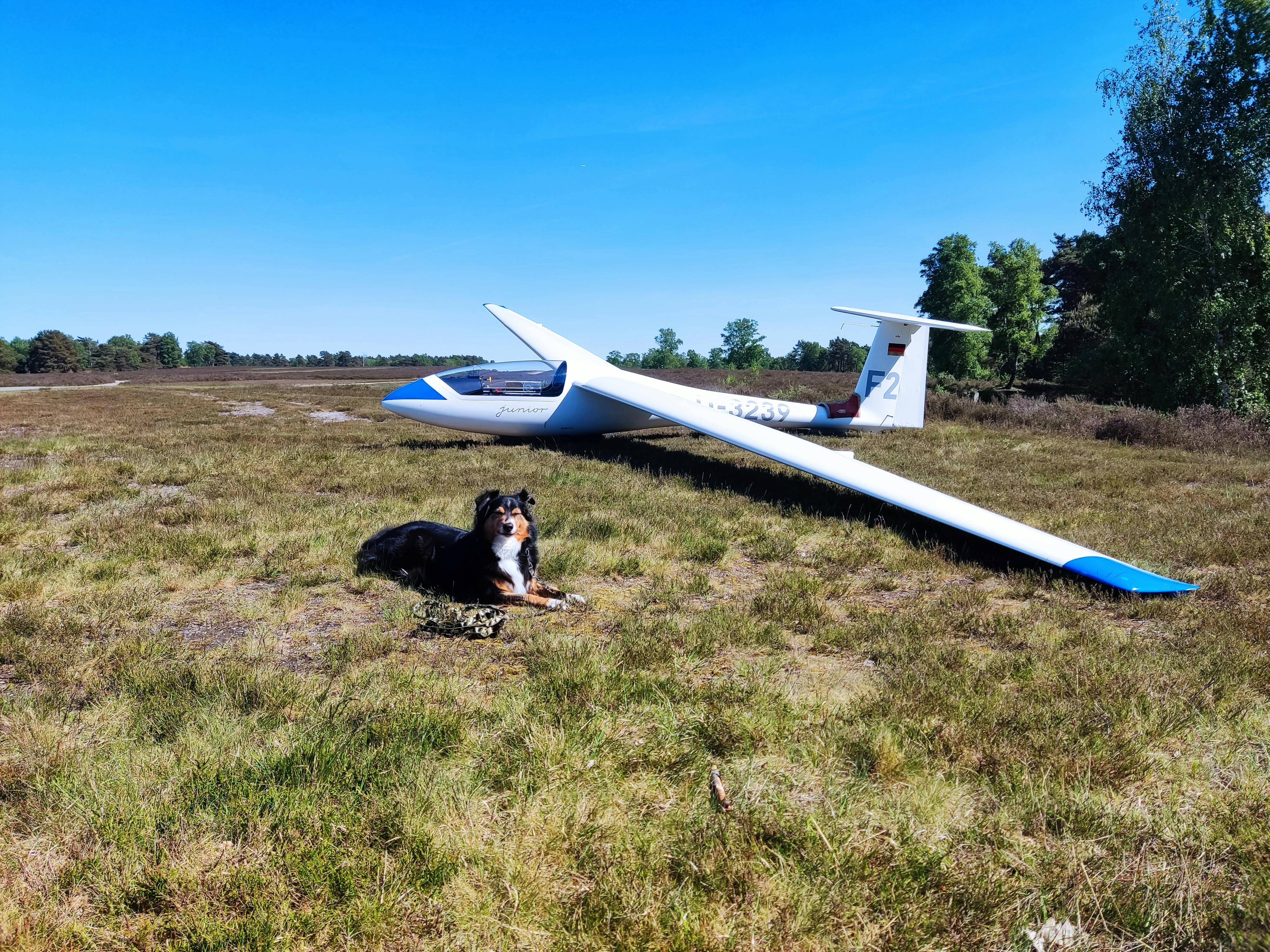 Detail einer Vorhangschiene mit Gleitern und gleichmäßigem Wellenband-Faltenwurf