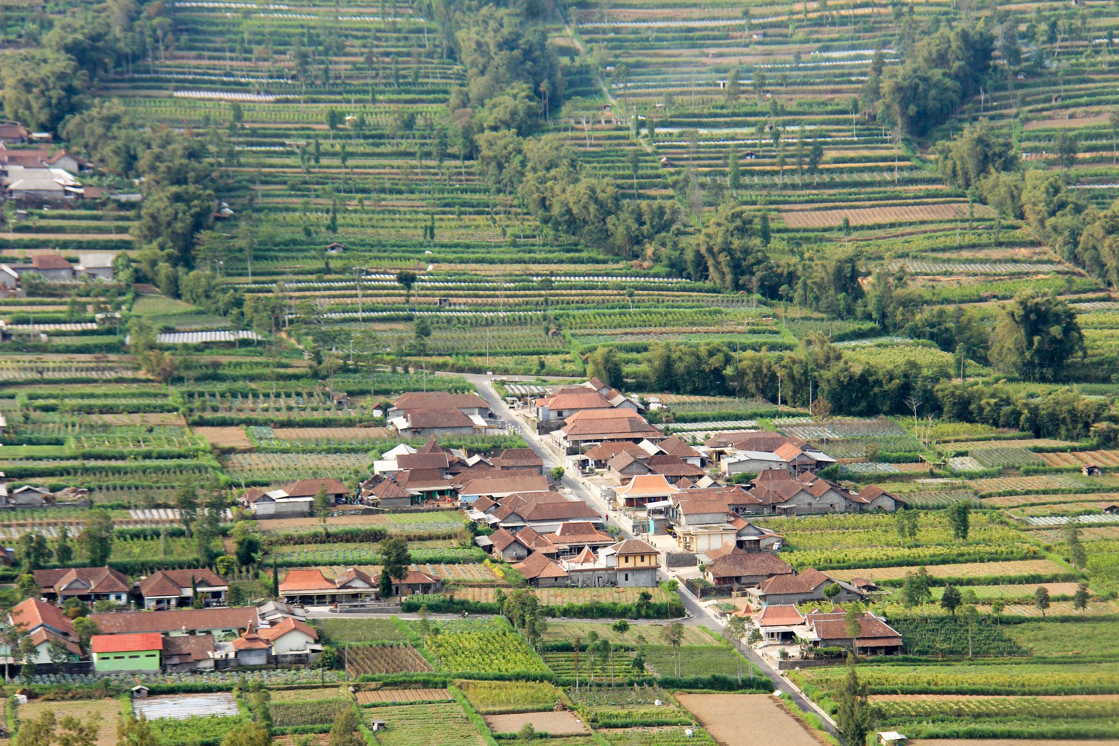 Aerial View of Rural Village in Central Java · Free Stock Photo