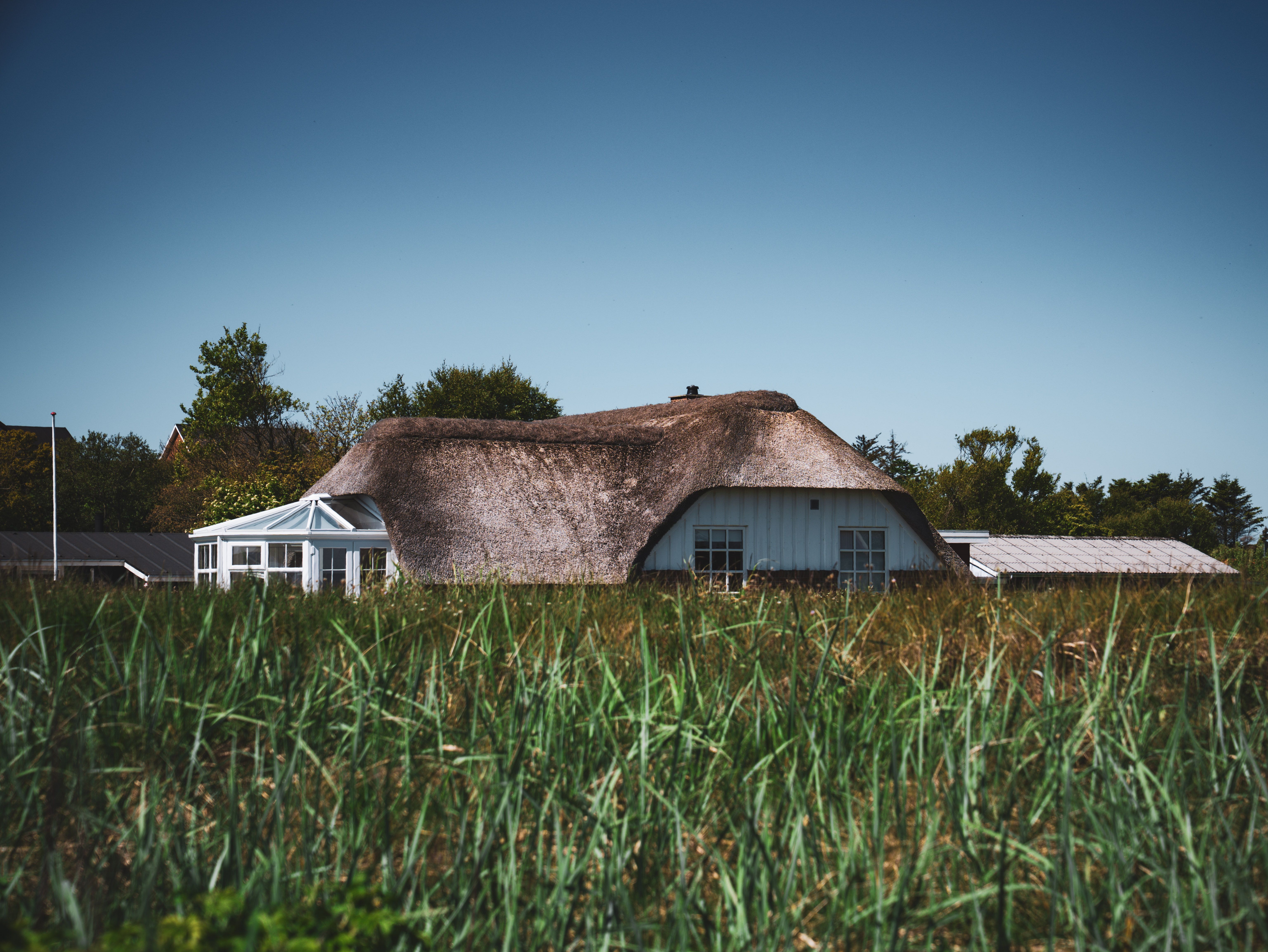 Découvrez une maison pittoresque au toit de chaume au milieu d'une prairie verdoyante dans le paysage serein du Danemark.