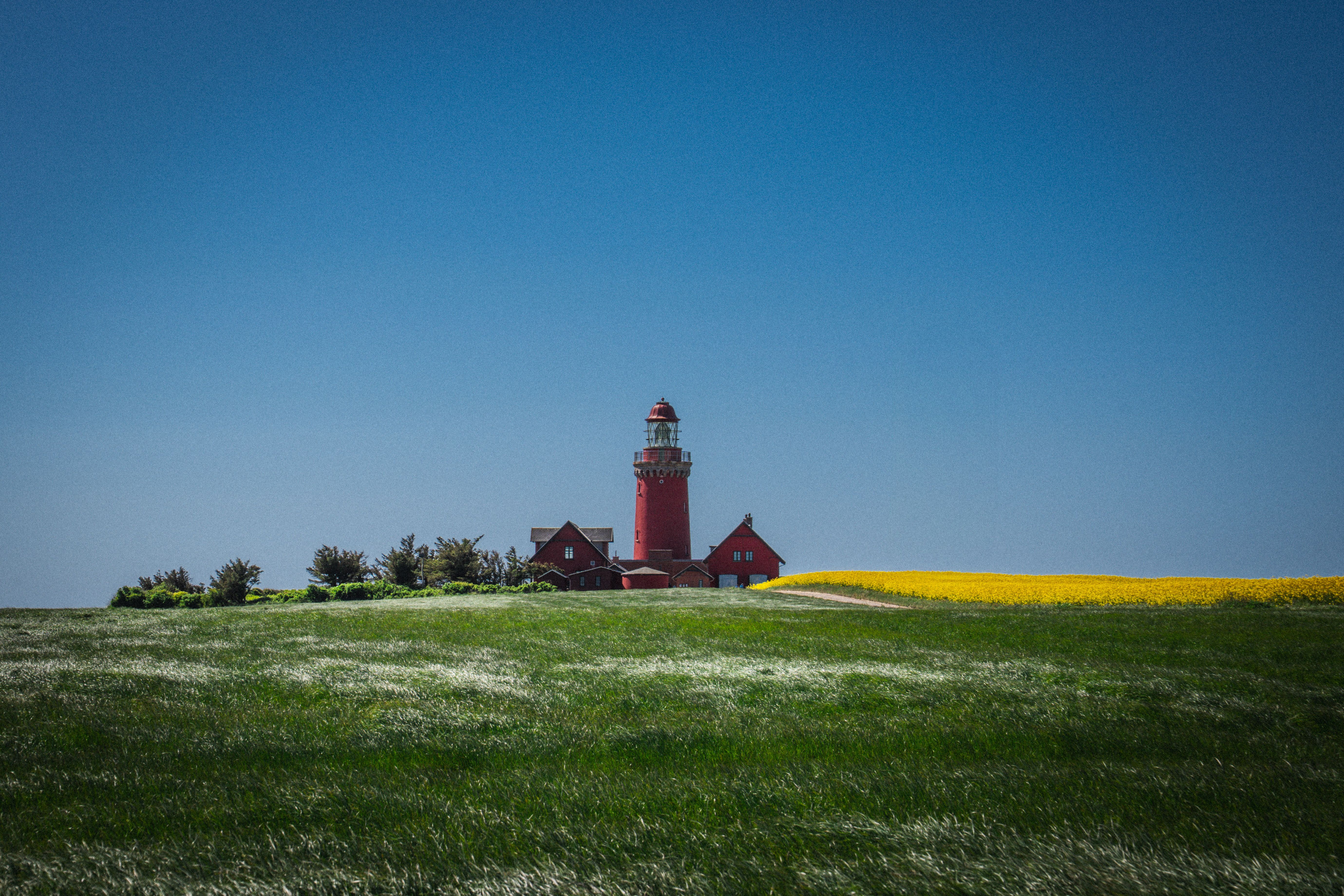Scenic Danish Lighthouse in Blooming Meadow · Free Stock Photo